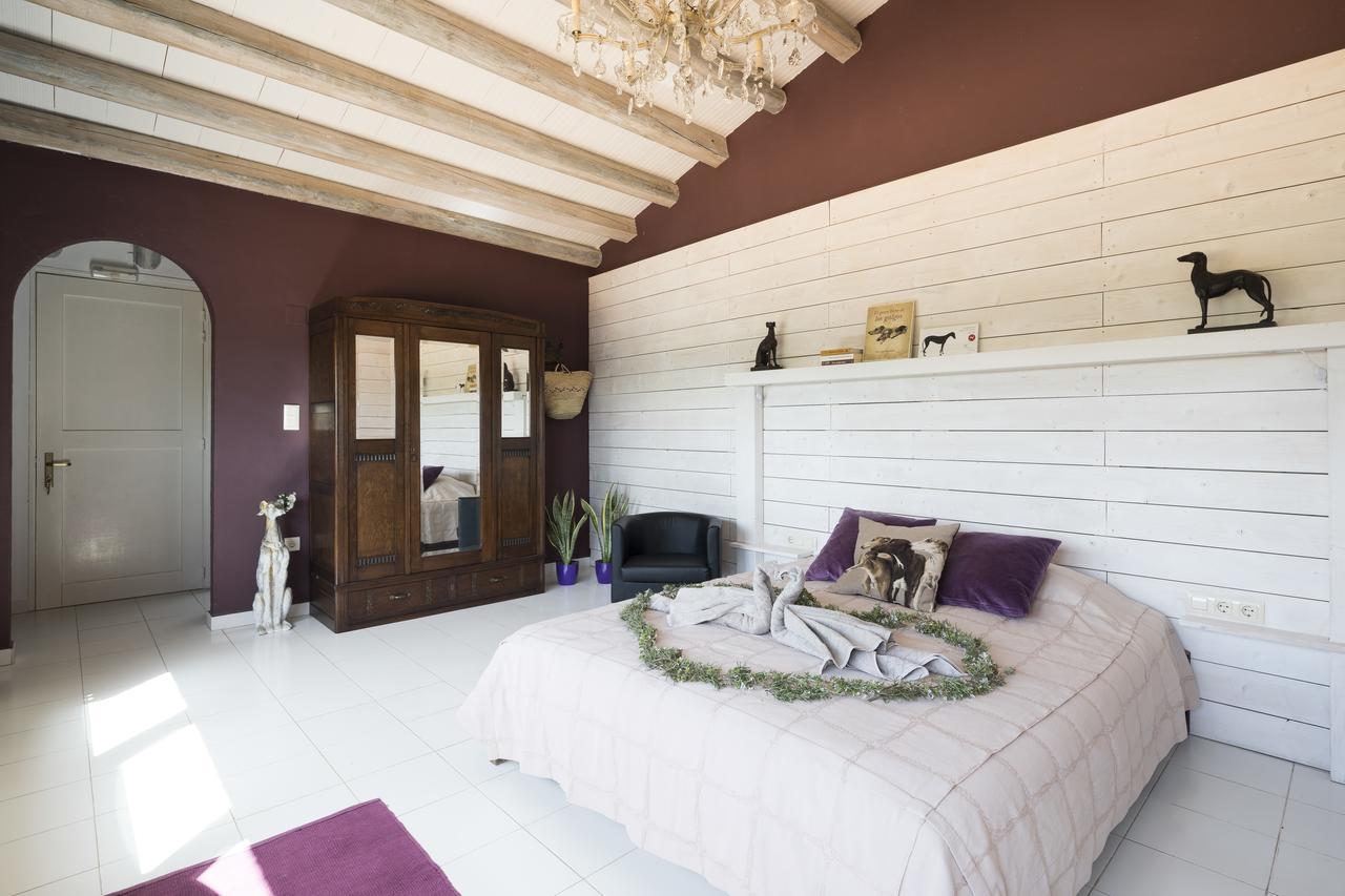 Can Patiras B&B Cistella Eksteriør billede